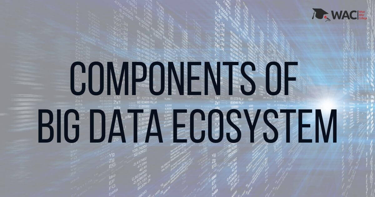 Components Of Big Data Ecosystem