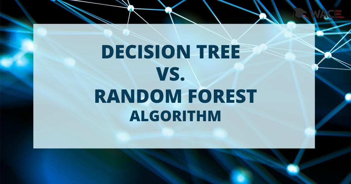 Decision tree vs.  random forest algorithms