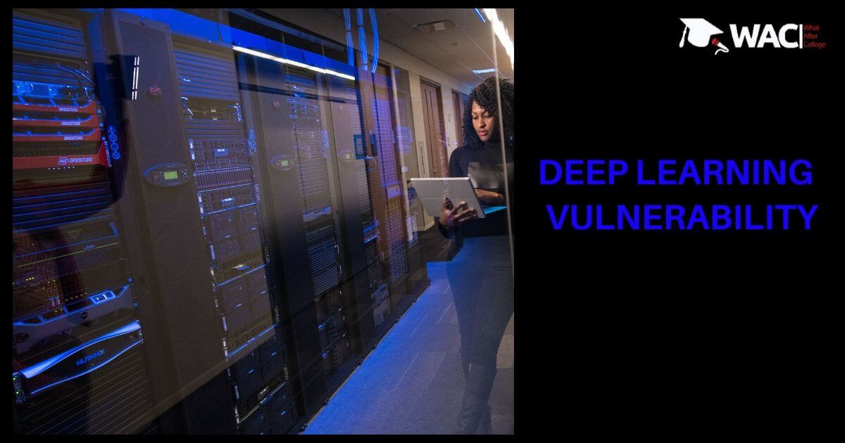 Deep Learning (DL) detection of vulnerability