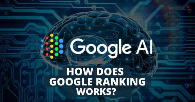 How google ranking works?