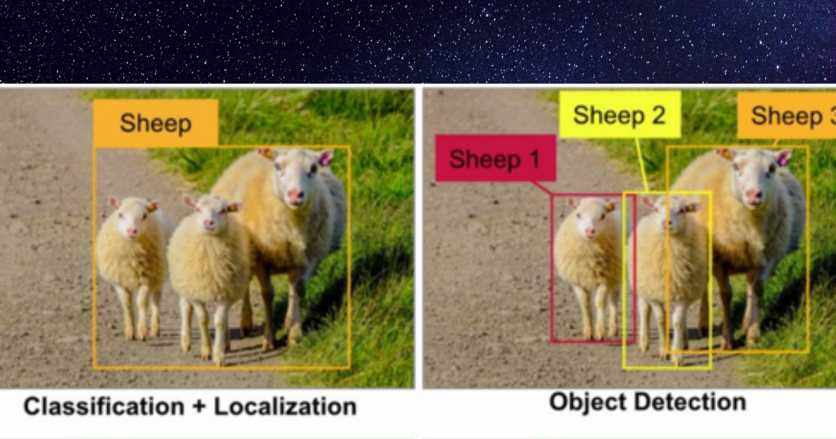 Classification And Object Detection