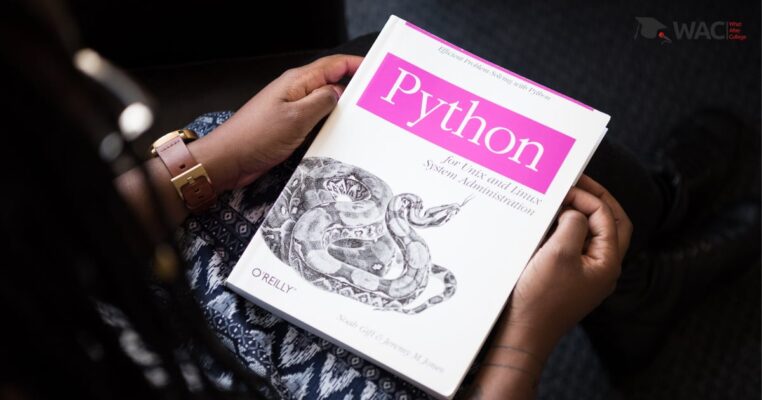 What can be done with Python?