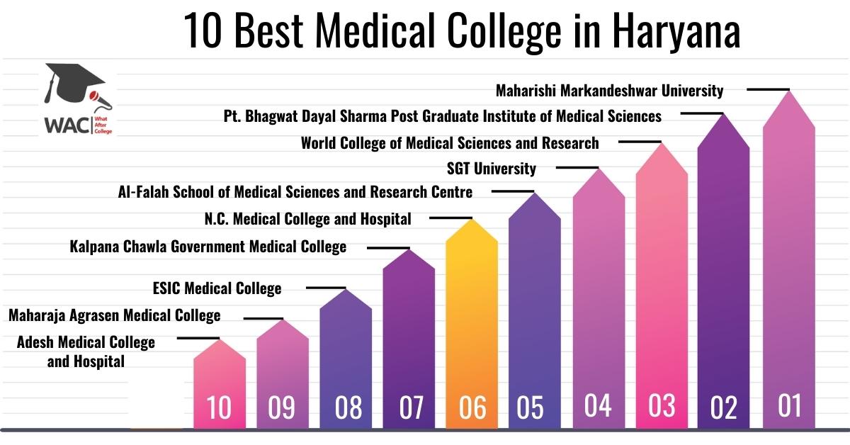 Medical College in Haryana